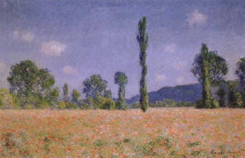 Claude Monet Poppy Field Spain oil painting art